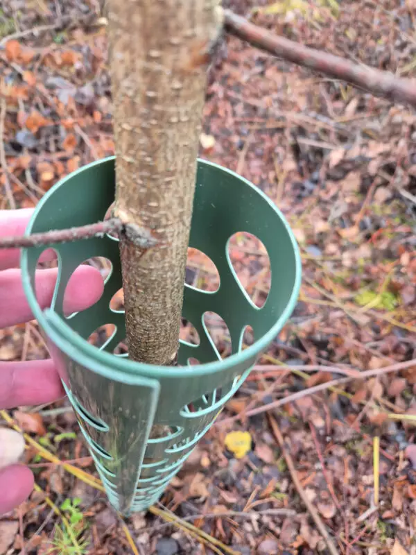 Rungonsuoja Pro 150cm - Juutti- ja suojaverkot - 5407003437744 - 1