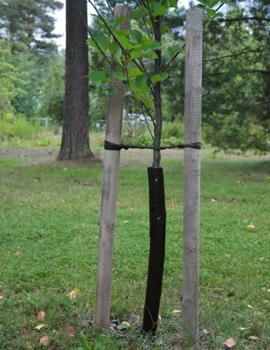 Spiraalirungonsuoja 90cm 3kpl - Juutti- ja suojaverkot - 6430068433184 - 1