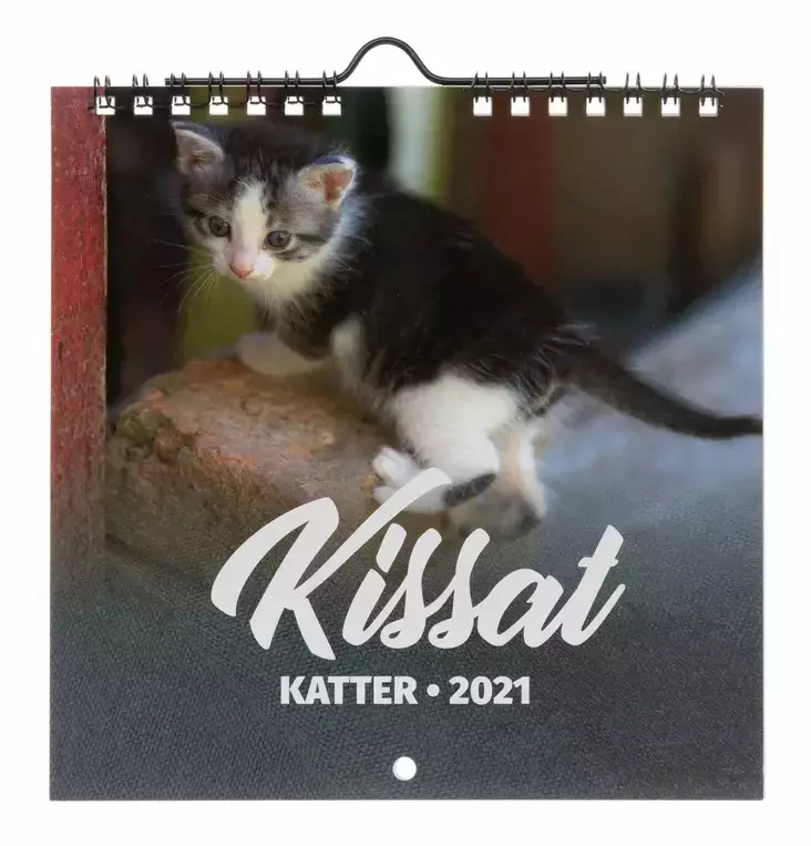 Suomen AIKA kalenterit Kissat 2025 - Sisustusesineet - 6429810296184 - 1