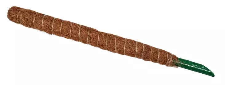 Tukikeppi kookoskuidulla 60cm - Kasvien ja pensaiden tuet ja kehikot - 6416556937044 - 1