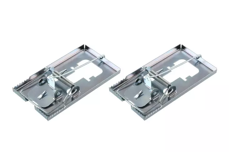 Xpert hiirenloukku metalli 2kpl/pkt - Tuhoeläinten ja rikkakasvien torjunta - 6410410194734 - 4