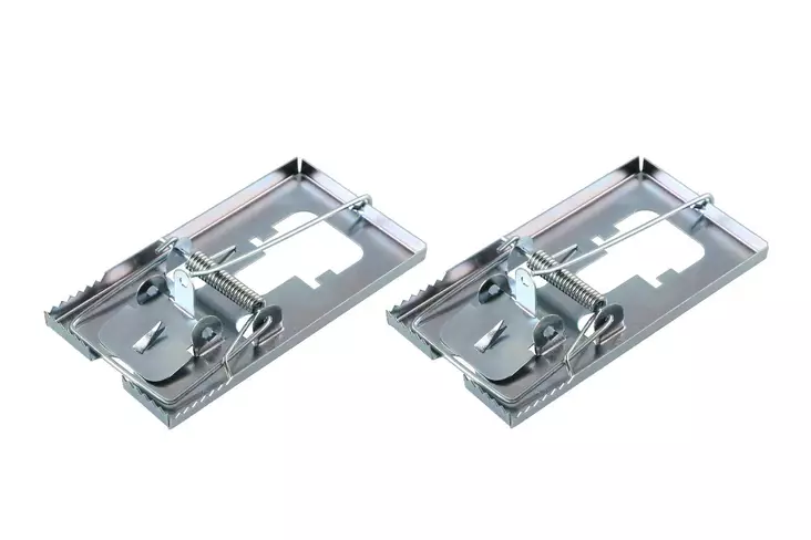 Xpert hiirenloukku metalli 2kpl/pkt - Tuhoeläinten ja rikkakasvien torjunta - 6410410194734 - 1