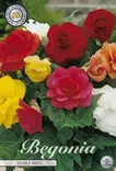 Begonia Double mixed - Siemenet ja sipulit - 8718036005235 - 1