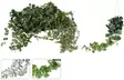 Citronella huonetuoksu hyönteiskarkoitin - Tuoksukynttilät - 8719987802195 - 2