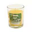 Citronella kynttilä lasissa 5x6,2cm - Hyttysten karkoitus - 8718158588395 - 1
