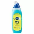 Kiilto WC-geeli Sitrus 750ml - Kodin pesuaineet - 6417964579475 - 1