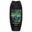 Palmolive Men Suihkusaippua Refreshing - Suihkugeelit- ja saippuat - 8714789732985 - 1