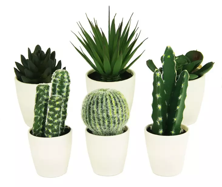 Kaktus ruukussa lajitelma - Tekokasvit ja -kukat - 8719987502835 - 1