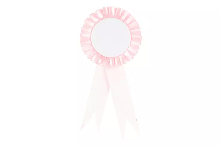 Keppihevosen palkintoruusuke 4kpl - Leikkihahmot ja -setit - 6410416220895 - 1