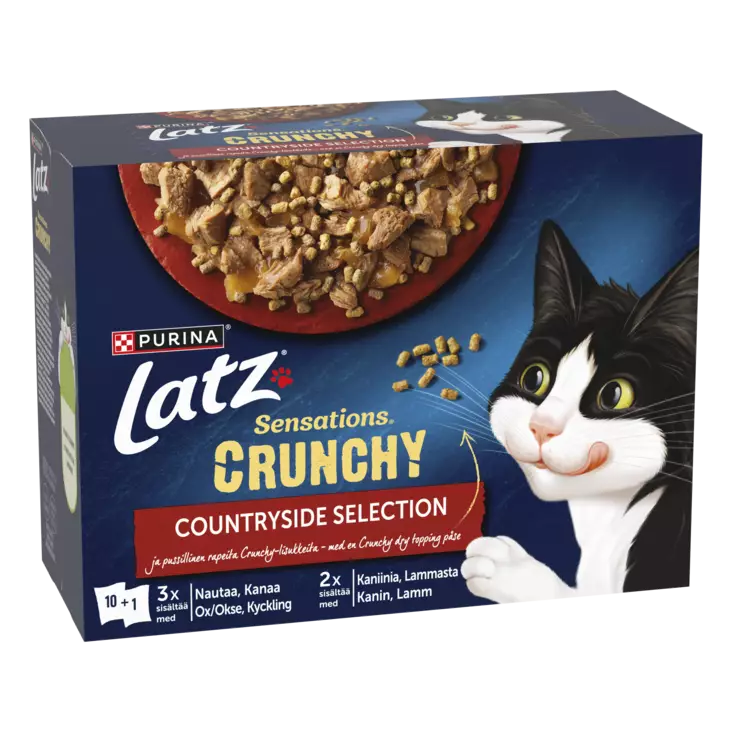 LATZ SENSATION CRUNCHY 10X85G HYYTELÖSSÄ - Poistokori - 7613039917015 - 1