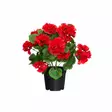 4living Pelargonia ruukussa punainen - Tekokasvit ja -kukat - 6410416529806 - 1