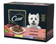 Cesar Adult annospussilaj. kast. 12x100g - Koiran märkäruoat - 8410136027376 - 2