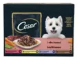 Cesar Adult annospussilaj. kast. 12x100g - Koiran märkäruoat - 8410136027376 - 1