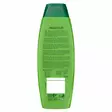 PALMOLIVE SILKY & SHINE SHAMPOO - Hiustenhoito ja hiuskoristeet - 8714789880556 - 2
