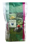 Sametti- expertnurmi 10kg - Siemenet ja sipulit - 6415152800356 - 1