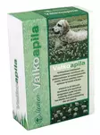 Valkoapila 500g - Siemenet ja sipulit - 6415152706016 - 1