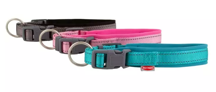 BF PAWSOME KAULAPANTA S 25-35CM - Koiran tarvikkeet - 5700551141966 - 1