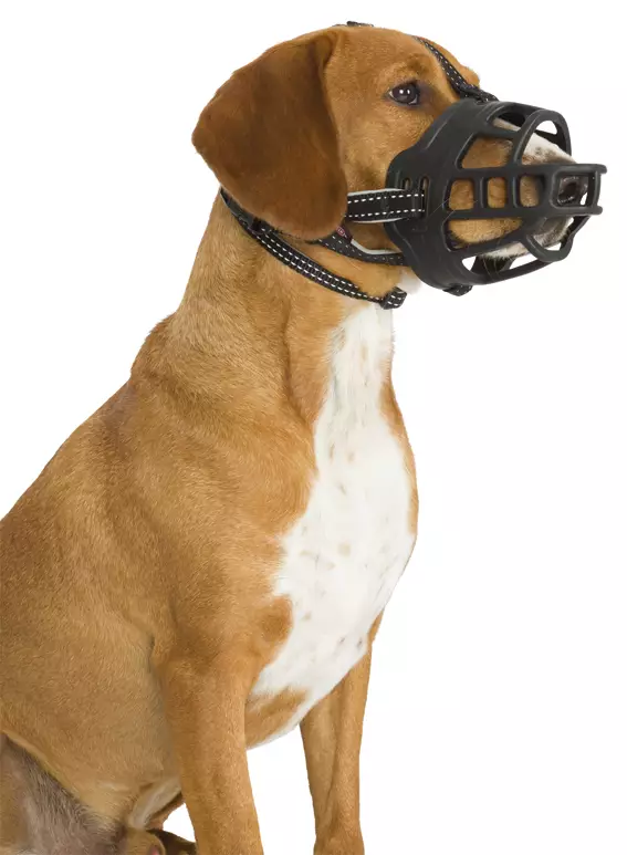 KUONOKOPPA L 31CM - Koiran tarvikkeet - 4047974176146 - 1