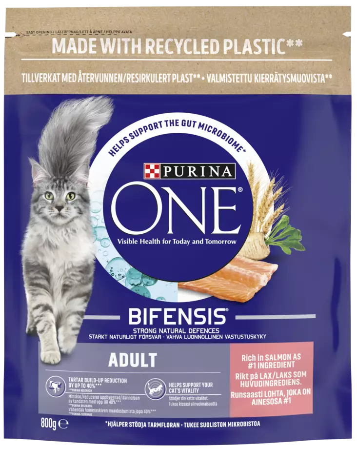 Purina One Adult lohta, täysviljaa 800g - Kissan kuivaruoat - 8002205356656 - 1