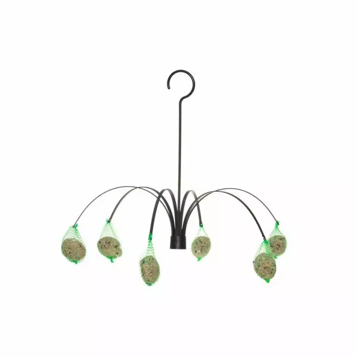 Tintti talipallosyötin palmu - Lintulaudat - 6410413305656 - 1