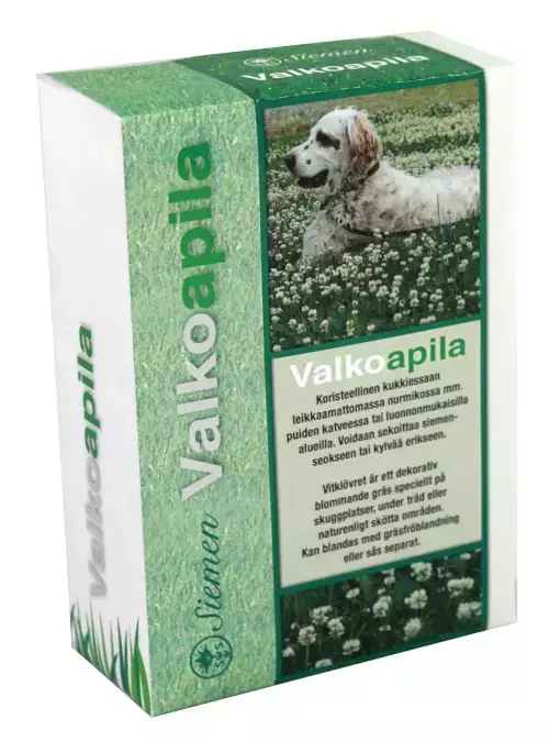 Valkoapila 500g - Siemenet ja sipulit - 6415152706016 - 1
