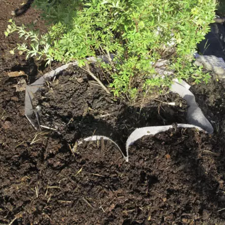 Juurimatto 6m2 2,3x2,6m - Juurikangas - 6430040621967 - 1