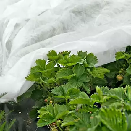 Kateharso 4x6m 24m² - Kateharsot - 6438168117607 - 1