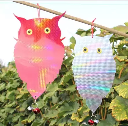 Linnunpelotin pöllö pvc laser 41,5x20cm - Tuhoeläinten ja rikkakasvien torjunta - 6438159318327 - 1