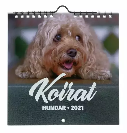Suomen AIKA kalenterit Koirat 2025 - Kalenterit - 6429810296177 - 1