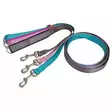 BF PAWSOME KOIRAN TALUTIN XS/S - Koiran tarvikkeet - 5700551141997 - 1