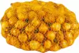 Istukassipuli Sturon 500G - Siemenet ja sipulit - 6415152970257 - 1