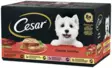 Cesar Classic Terrine Murekelaj. 8x150g - Koiran märkäruoat - 3065890148567 - 3