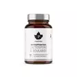 MAITOHAPPOBAKTEERI + BOULARDII 60KAPS - Vitamiinit ja mineraalit - 6430039222847 - 1