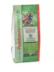Paikkausnurmi 0,5kg - Siemenet ja sipulit - 6415152804057 - 1