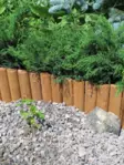 PUUREUNANAUHA 30CM / 2M - Pihakoristeet - 6430040621707 - 1