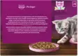 Whiskas Junior Pure Delight 12x85g - Kissan märkäruoat - 5900951302497 - 4