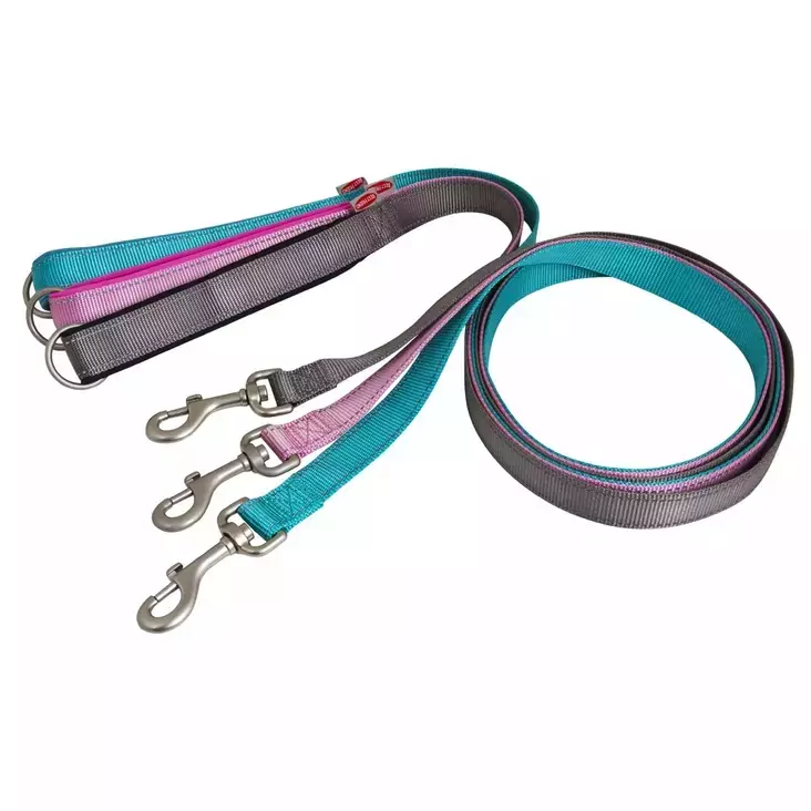 BF PAWSOME KOIRAN TALUTIN XS/S - Koiran tarvikkeet - 5700551141997 - 1