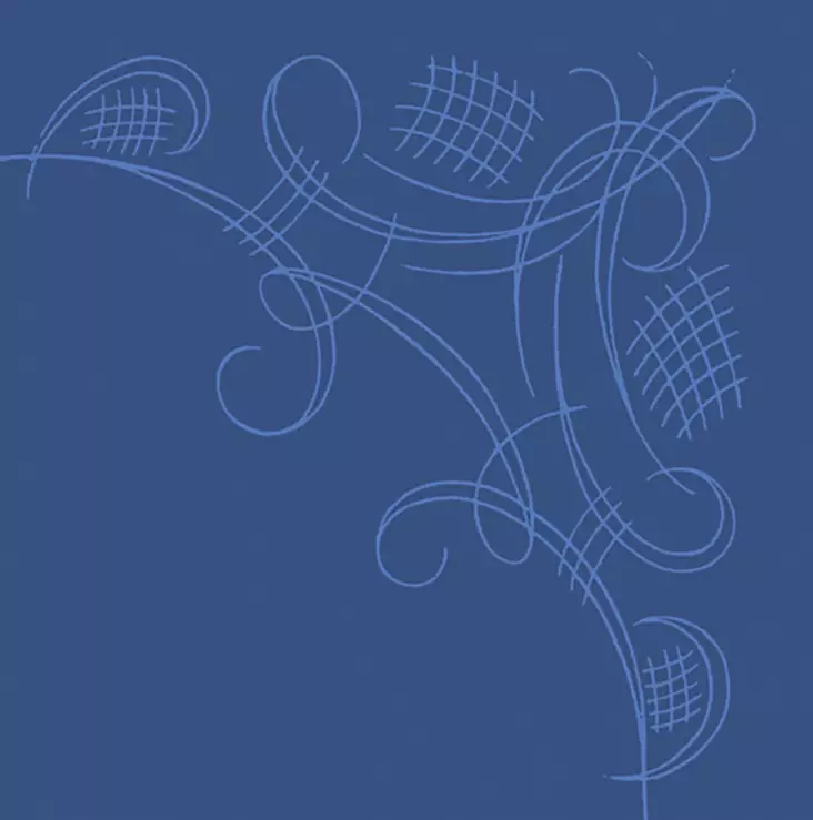 Havi Koristeliina 24cm 40kpl/pkt - Lautasliinat - 6411636401767 - 1