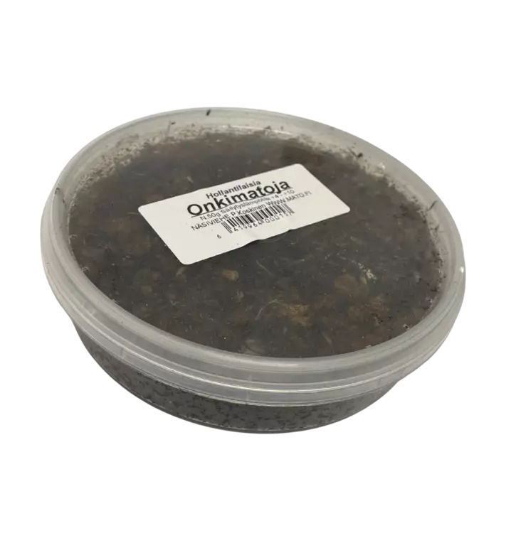 Hollantilainen onkimato 50g - Syötit - 6419964000157 - 1