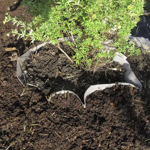 Juurimatto 6m2 2,3x2,6m - Juurikangas - 6430040621967 - 1