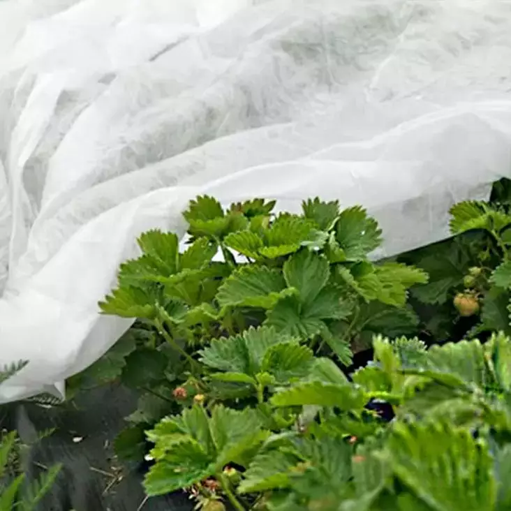 Kateharso 4x6m 24m² - Kateharsot - 6438168117607 - 1