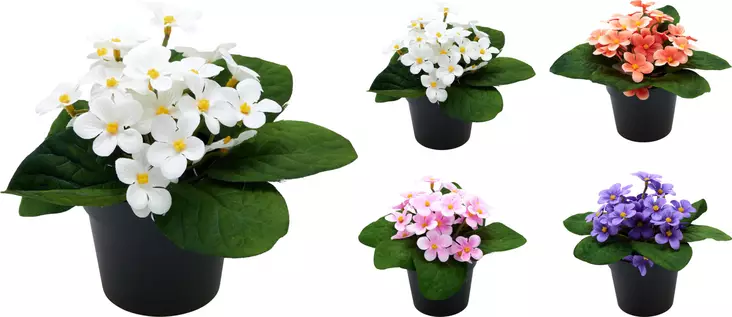 Orvokki kukka 20x15cm - Tekokasvit ja -kukat - 8721037896047 - 1