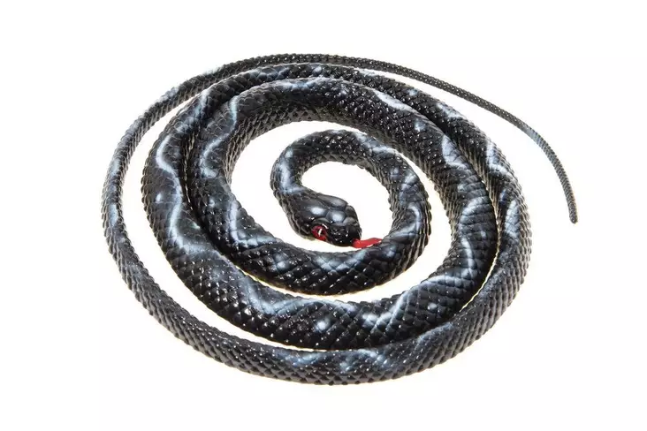 Pelotinkäärme 130cm - Kasvien suojeluaineet - 6438168116167 - 1