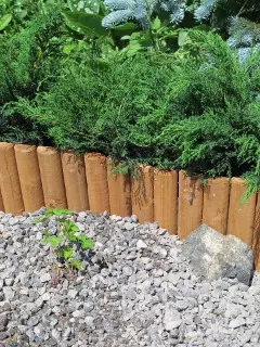 PUUREUNANAUHA 30CM / 2M - Pihakoristeet - 6430040621707 - 1