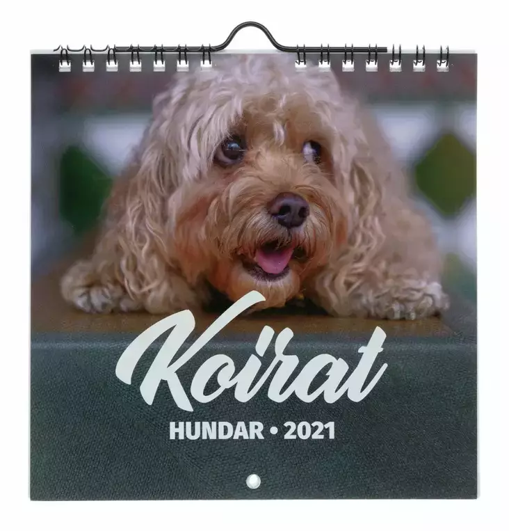 Suomen AIKA kalenterit Koirat 2025 - Kalenterit - 6429810296177 - 1