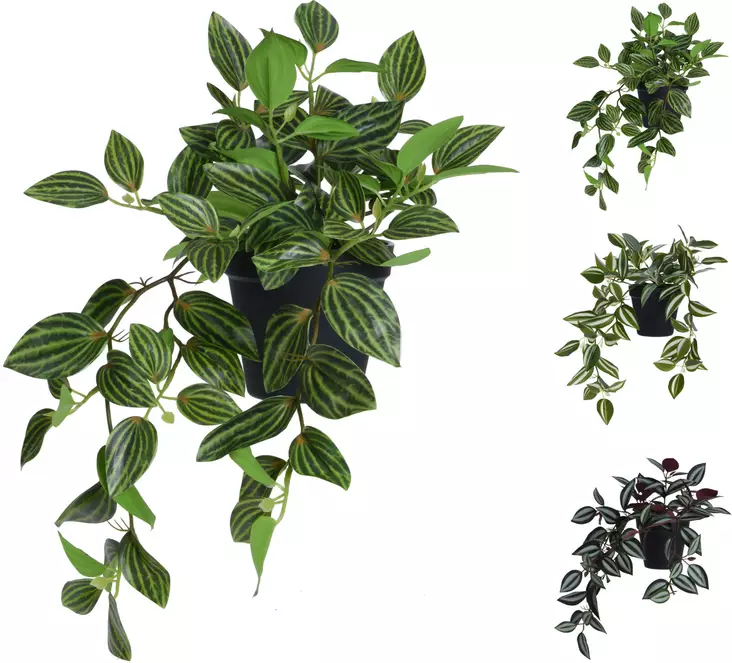 Tekokasvi kolmiokukka tradescantia - Tekokasvit ja -kukat - 8720573166447 - 1