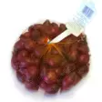 Istukassipuli Red Baron 21/24 500g - Siemenet ja sipulit - 6415152980218 - 1