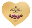 ANTON BERG KULTAINEN SYDÄNSUKLAARASIA - Koirat - 5774540844008 - 1