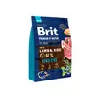 Brit Premium by Nature Sensitive lammas herkälle vatsalle 3kg - Koiran kuivaruoat - 8595602526628 - 1
