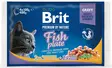Brit Premium Cat kalakastike 4X100G - Kissan märkäruoat - 8595602506248 - 1